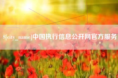 苍南中国执行信息公开网官方服务