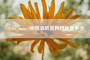 苍南中国消防官网网址是多少