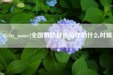 苍南全国消防日是每年的什么时候