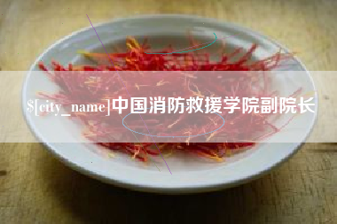 苍南中国消防救援学院副院长