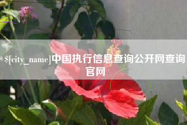 苍南中国执行信息查询公开网查询官网