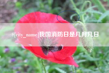 苍南我国消防日是几月几日