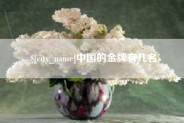 苍南中国的金牌有几名