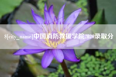 苍南中国消防救援学院2020录取分