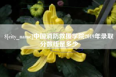 苍南中国消防救援学院2019年录取分数线是多少