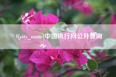 苍南中国执行网公开查询