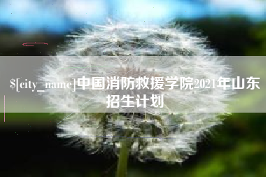 苍南中国消防救援学院2021年山东招生计划