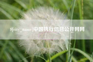 苍南中国执行信息公开网网