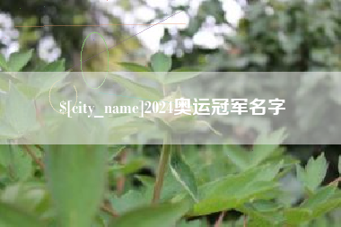 苍南2024奥运冠军名字