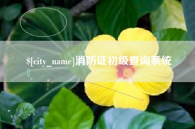 苍南消防证初级查询系统