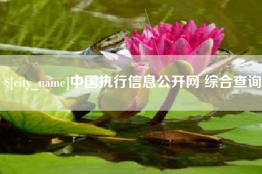 苍南中国执行信息公开网 综合查询