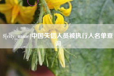 苍南中国失信人员被执行人名单查询