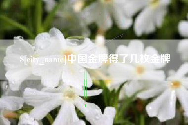 苍南中国金牌得了几枚金牌