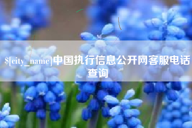 苍南中国执行信息公开网客服电话查询