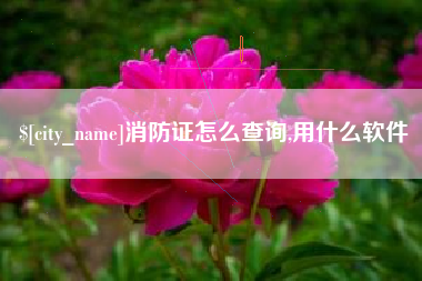 苍南消防证怎么查询,用什么软件