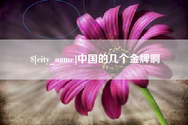 苍南中国的几个金牌啊