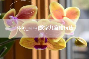 苍南数字九宫格玩法