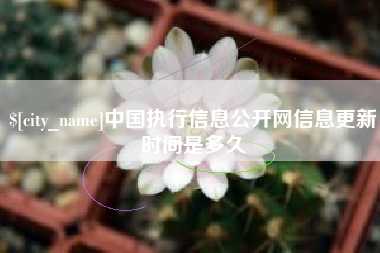 苍南中国执行信息公开网信息更新时间是多久