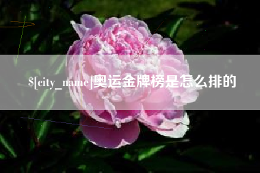 苍南奥运金牌榜是怎么排的