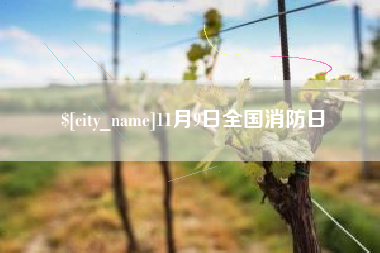 苍南11月9日全国消防日