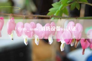 苍南消防设备ccc认证