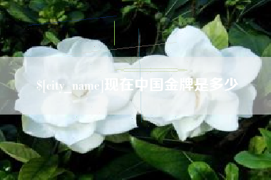 苍南现在中国金牌是多少