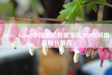 苍南中国消防救援学院2020年河南录取分数线