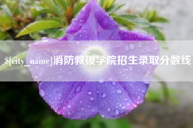 苍南消防救援学院招生录取分数线