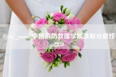 苍南中国消防救援学院录取分数线2020
