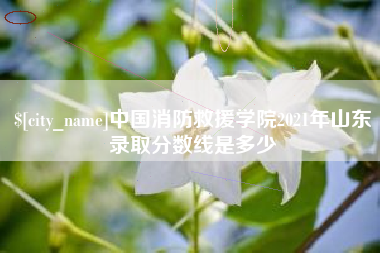 苍南中国消防救援学院2021年山东录取分数线是多少