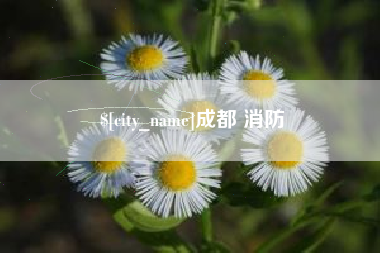 苍南成都 消防