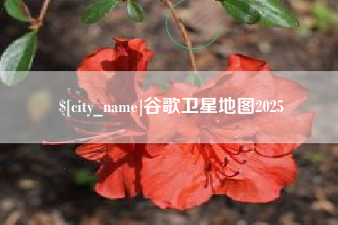 苍南谷歌卫星地图2025