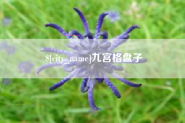 苍南九宫格盘子