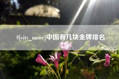 苍南中国有几块金牌排名