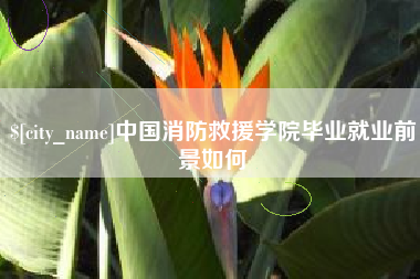 苍南中国消防救援学院毕业就业前景如何