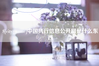 苍南中国执行信息公开网是什么东西