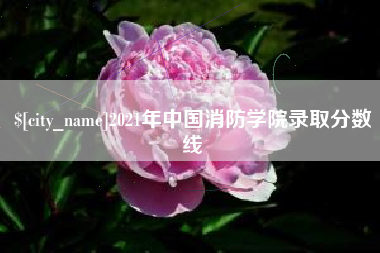 苍南2021年中国消防学院录取分数线