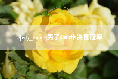 苍南男子5000米决赛冠军