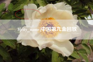 苍南中国第九金回放