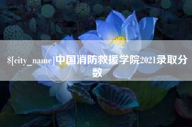 苍南中国消防救援学院2021录取分数