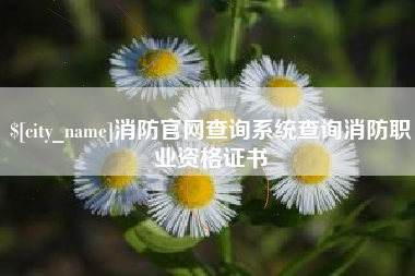 苍南消防官网查询系统查询消防职业资格证书