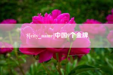 苍南中国9个金牌