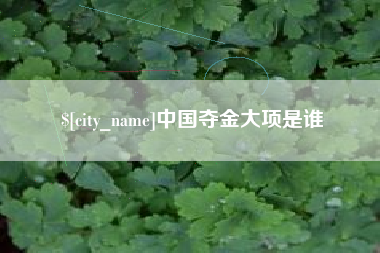 苍南中国夺金大项是谁
