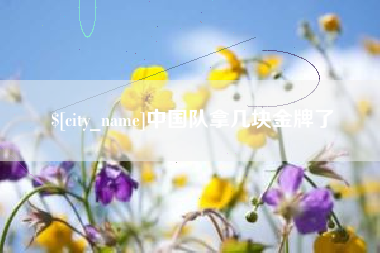 苍南中国队拿几块金牌了