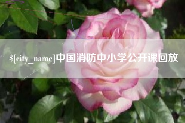 苍南中国消防中小学公开课回放