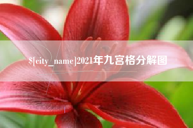 苍南2021年九宫格分解图