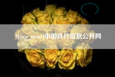 苍南中国执行信息公开网