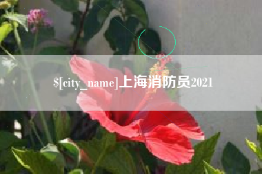 苍南上海消防员2021
