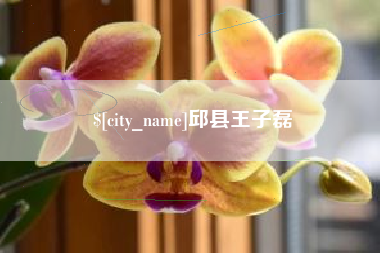 苍南邱县王子磊