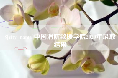 苍南中国消防救援学院2020年录取结果